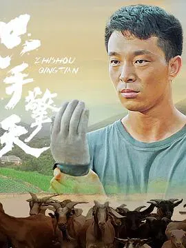 【剧情片】只手擎天