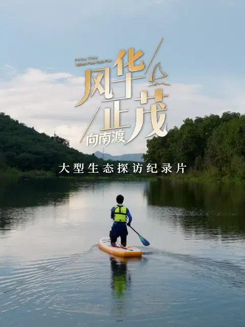 【记录片】风华正茂第三季
